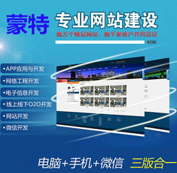 企業(yè)專(zhuān)業(yè)網(wǎng)站建設(shè)費(fèi)用詳解