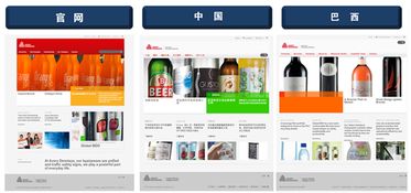 跨國(guó)公司網(wǎng)站建設(shè) 上海的專(zhuān)業(yè)選擇與實(shí)踐